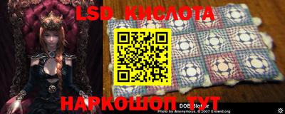 прущие грибы Мариинск