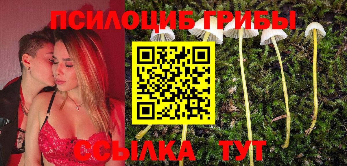 Галлюциногенные грибы прущие грибы  Вход с VPN  Верхняя Салда  Галлюциногенные грибы ЛСД 