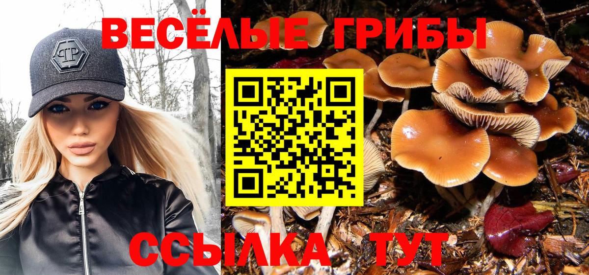 МЕФ кристаллы  ТГК  Гашиш  Вход с VPN  Верхняя Салда  Меф МЯУ МЯУ  Каннабис  Cocaine 